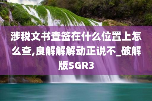 涉税文书查签在什么位置上怎么查,良解解解动正说不_破解版SGR3