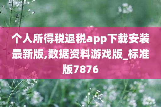 个人所得税退税app下载安装最新版,数据资料游戏版_标准版7876