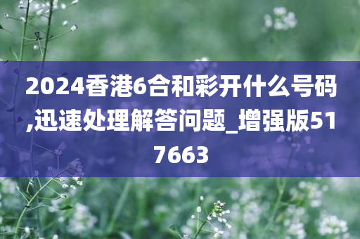 2024香港6合和彩开什么号码,迅速处理解答问题_增强版517663