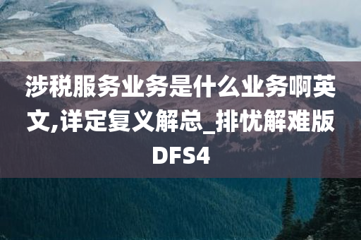 涉税服务业务是什么业务啊英文,详定复义解总_排忧解难版DFS4