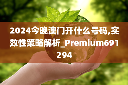 2024今晚澳门开什么号码,实效性策略解析_Premium691294