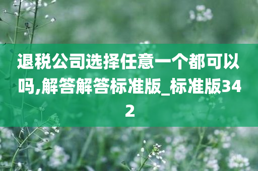 退税公司选择任意一个都可以吗,解答解答标准版_标准版342