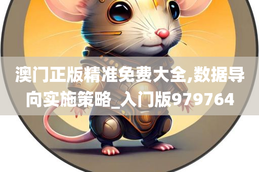 澳门正版精准免费大全,数据导向实施策略_入门版979764