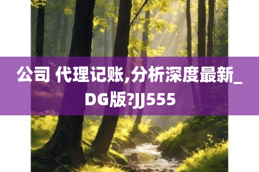 公司 代理记账,分析深度最新_DG版?JJ555