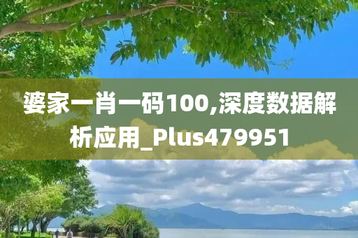 婆家一肖一码100,深度数据解析应用_Plus479951