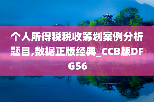 个人所得税税收筹划案例分析题目,数据正版经典_CCB版DFG56