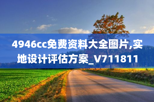 4946cc免费资料大全图片,实地设计评估方案_V711811