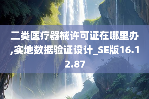 二类医疗器械许可证在哪里办,实地数据验证设计_SE版16.12.87