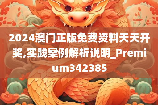 2024澳门正版免费资料天天开奖,实践案例解析说明_Premium342385