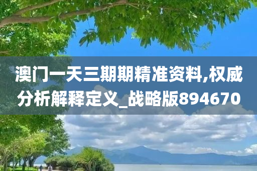 澳门一天三期期精准资料,权威分析解释定义_战略版894670