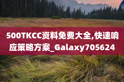 500TKCC资料免费大全,快速响应策略方案_Galaxy705624