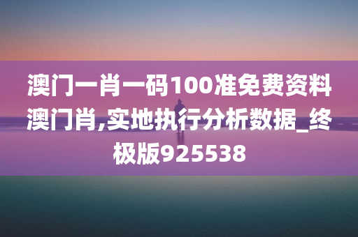 澳门一肖一码100准免费资料澳门肖,实地执行分析数据_终极版925538