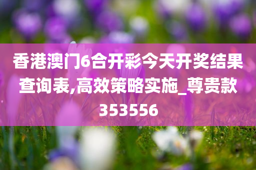 香港澳门6合开彩今天开奖结果查询表,高效策略实施_尊贵款353556