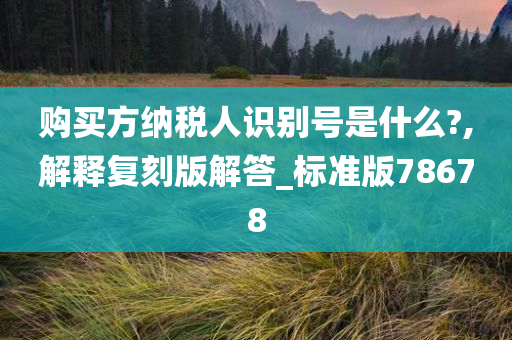 购买方纳税人识别号是什么?,解释复刻版解答_标准版78678