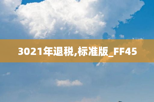 3021年退税,标准版_FF45