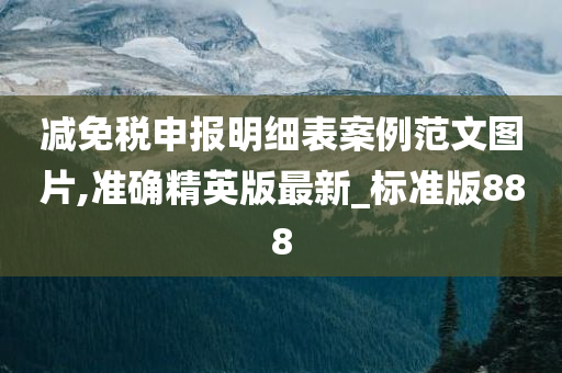 减免税申报明细表案例范文图片,准确精英版最新_标准版888