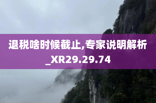 退税啥时候截止,专家说明解析_XR29.29.74