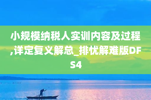 小规模纳税人实训内容及过程,详定复义解总_排忧解难版DFS4