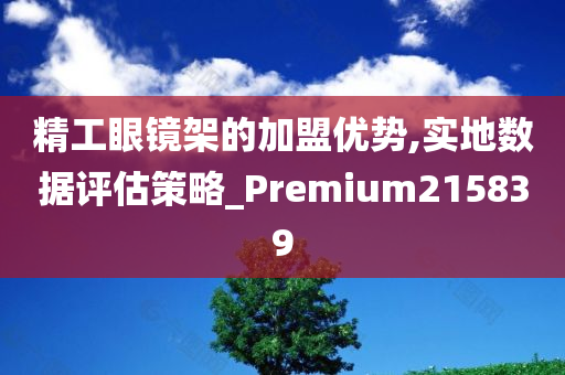 精工眼镜架的加盟优势,实地数据评估策略_Premium215839