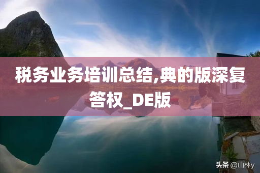 税务业务培训总结,典的版深复答权_DE版