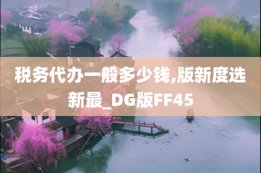 税务代办一般多少钱,版新度选新最_DG版FF45