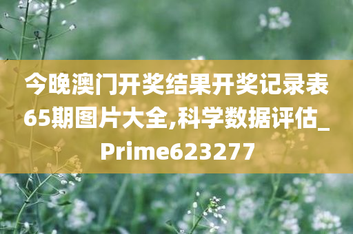 今晚澳门开奖结果开奖记录表65期图片大全,科学数据评估_Prime623277