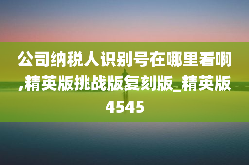 公司纳税人识别号在哪里看啊,精英版挑战版复刻版_精英版4545