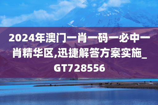 2024年澳门一肖一码一必中一肖精华区,迅捷解答方案实施_GT728556