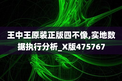 王中王原装正版四不像,实地数据执行分析_X版475767