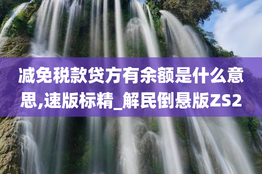 减免税款贷方有余额是什么意思,速版标精_解民倒悬版ZS2