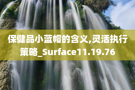 保健品小蓝帽的含义,灵活执行策略_Surface11.19.76