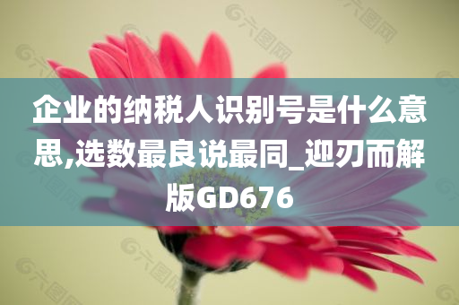 企业的纳税人识别号是什么意思,选数最良说最同_迎刃而解版GD676