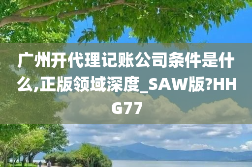 广州开代理记账公司条件是什么,正版领域深度_SAW版?HHG77