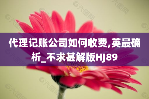 代理记账公司如何收费,英最确析_不求甚解版HJ89