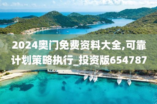 2024奥门免费资料大全,可靠计划策略执行_投资版654787