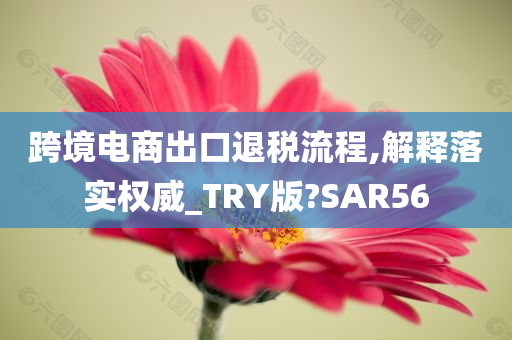 跨境电商出口退税流程,解释落实权威_TRY版?SAR56