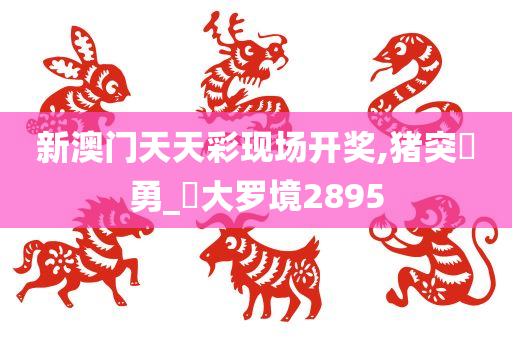 新澳门天天彩现场开奖,猪突豨勇_‌大罗境2895