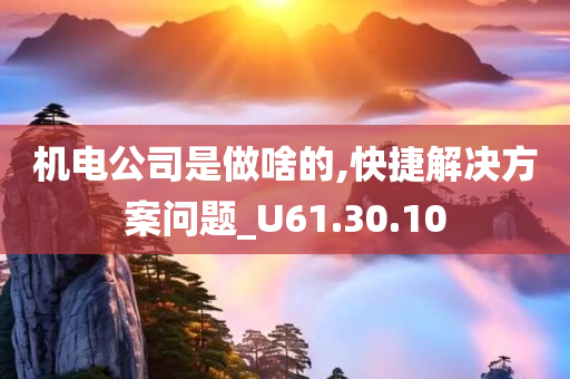 机电公司是做啥的,快捷解决方案问题_U61.30.10