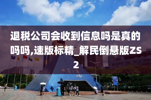 退税公司会收到信息吗是真的吗吗,速版标精_解民倒悬版ZS2