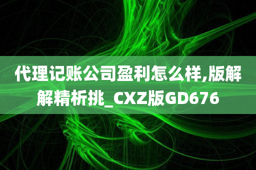 代理记账公司盈利怎么样,版解解精析挑_CXZ版GD676