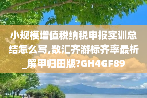 小规模增值税纳税申报实训总结怎么写,数汇齐游标齐率最析_解甲归田版?GH4GF89