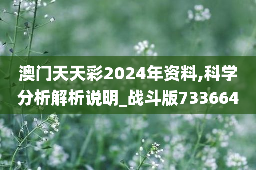 澳门天天彩2024年资料,科学分析解析说明_战斗版733664