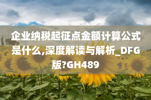 企业纳税起征点金额计算公式是什么,深度解读与解析_DFG版?GH489