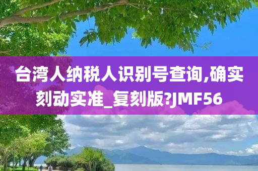 台湾人纳税人识别号查询,确实刻动实准_复刻版?JMF56