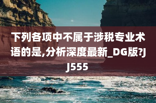 下列各项中不属于涉税专业术语的是,分析深度最新_DG版?JJ555