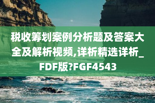 税收筹划案例分析题及答案大全及解析视频,详析精选详析_FDF版?FGF4543