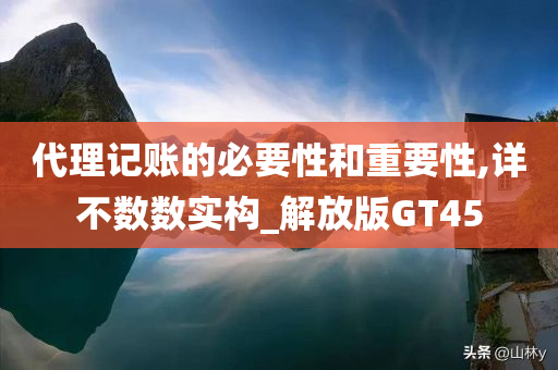 代理记账的必要性和重要性,详不数数实构_解放版GT45