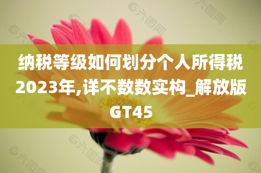 纳税等级如何划分个人所得税2023年,详不数数实构_解放版GT45