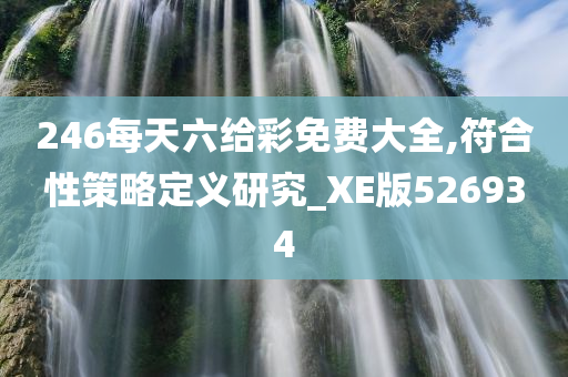 246每天六给彩免费大全,符合性策略定义研究_XE版526934