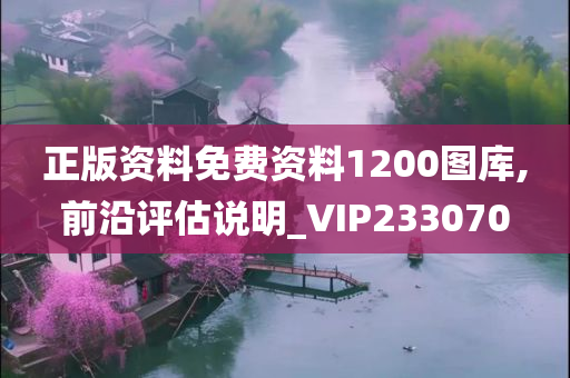 正版资料免费资料1200图库,前沿评估说明_VIP233070